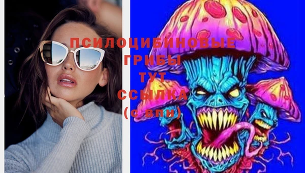 стаф Беломорск