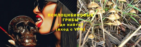 метамфетамин Белокуриха