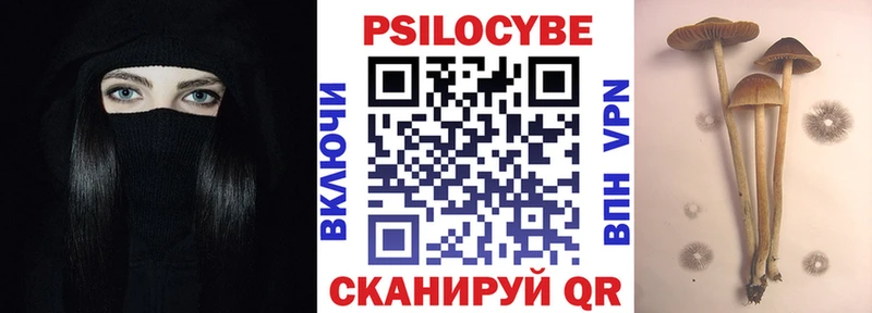 Купить где Нижнеудинск Галлюциногенные грибы Psilocybine cubensis