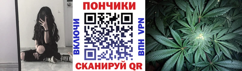 МАРИХУАНА Bruce Banner  Купить закладки  Нижнеудинск 